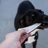 Split Elk Antlers for Large Dogs
