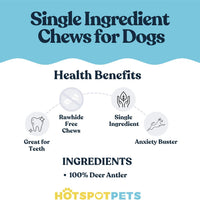All-Natural Deer Antlers for Dogs