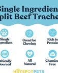 6" Split Beef Trachea Strips for Small & Medium Dogs