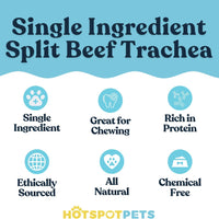 6" Split Beef Trachea Strips for Small & Medium Dogs