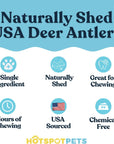 All-Natural Deer Antlers for Dogs