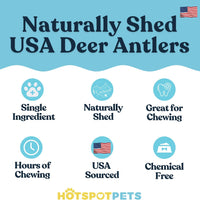 All-Natural Deer Antlers for Dogs