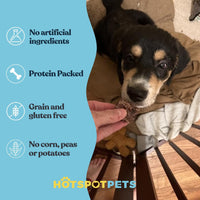 All-Natural Roasted Beef Lung Treats for Dogs