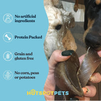 Whole Cow Hooves for Small, Medium & Large Dogs