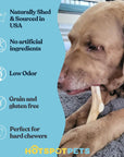 All-Natural Deer Antlers for Dogs