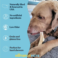 All-Natural Deer Antlers for Dogs
