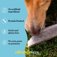 Split Elk Antlers for Small Dogs