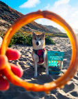 4" Bully Stick Rings for Small, Medium & Large Dogs