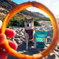 4" Bully Stick Rings for Small, Medium & Large Dogs