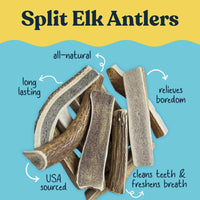 Split Elk Antlers for Large Dogs