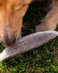 Split Elk Antlers for Small Dogs
