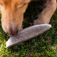 Split Elk Antlers for Small Dogs