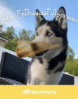 All-Natural Cow Ear Chews for Dogs