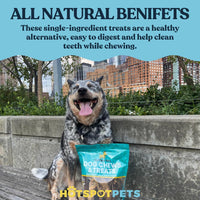 6" Beef Esophagus Gullet Treats for Small & Medium Dogs