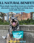 All-Natural Deer Antlers for Dogs