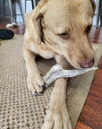 All-Natural Deer Antlers for Dogs