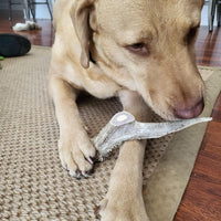 All-Natural Deer Antlers for Dogs