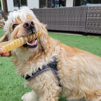 6" Split Beef Trachea Strips for Small & Medium Dogs