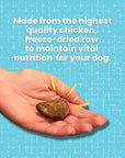 Freeze Dried Chicken Hearts for Dogs & Cats | Freeze Dried Treats at HotSpot Pets