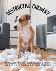 Mosnter Himalayan Yak Chews for Large & X-Large Dogs | Yak Chews at HotSpot Pets