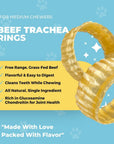 Whole Beef Trachea Ring Chews for Large & X-Large Dogs | Trachea Chews at HotSpot Pets