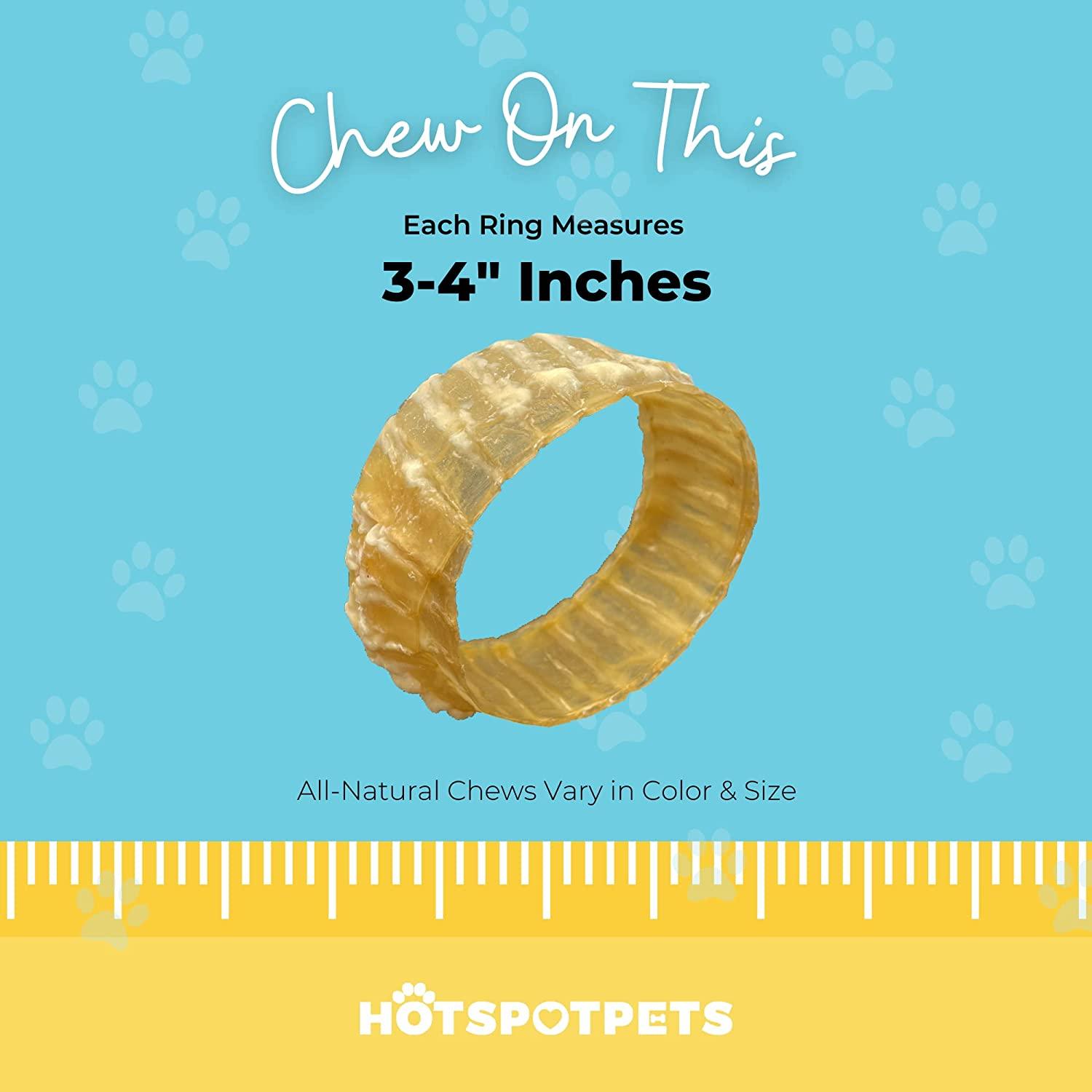 Whole Beef Trachea Ring Chews for Large & X-Large Dogs | Trachea Chews at HotSpot Pets