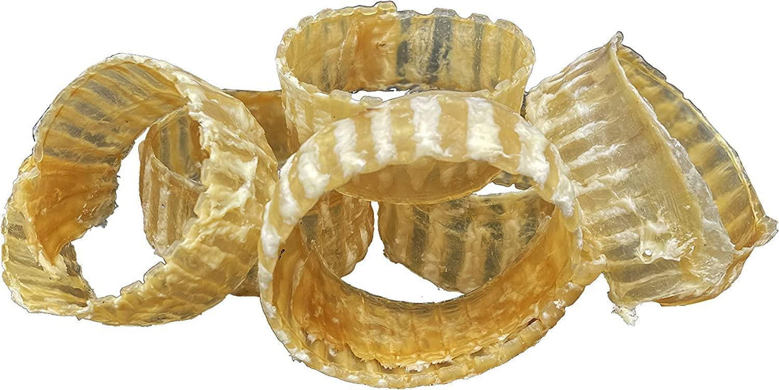 Whole Beef Trachea Ring Chews for Large & X-Large Dogs | Trachea Chews at HotSpot Pets