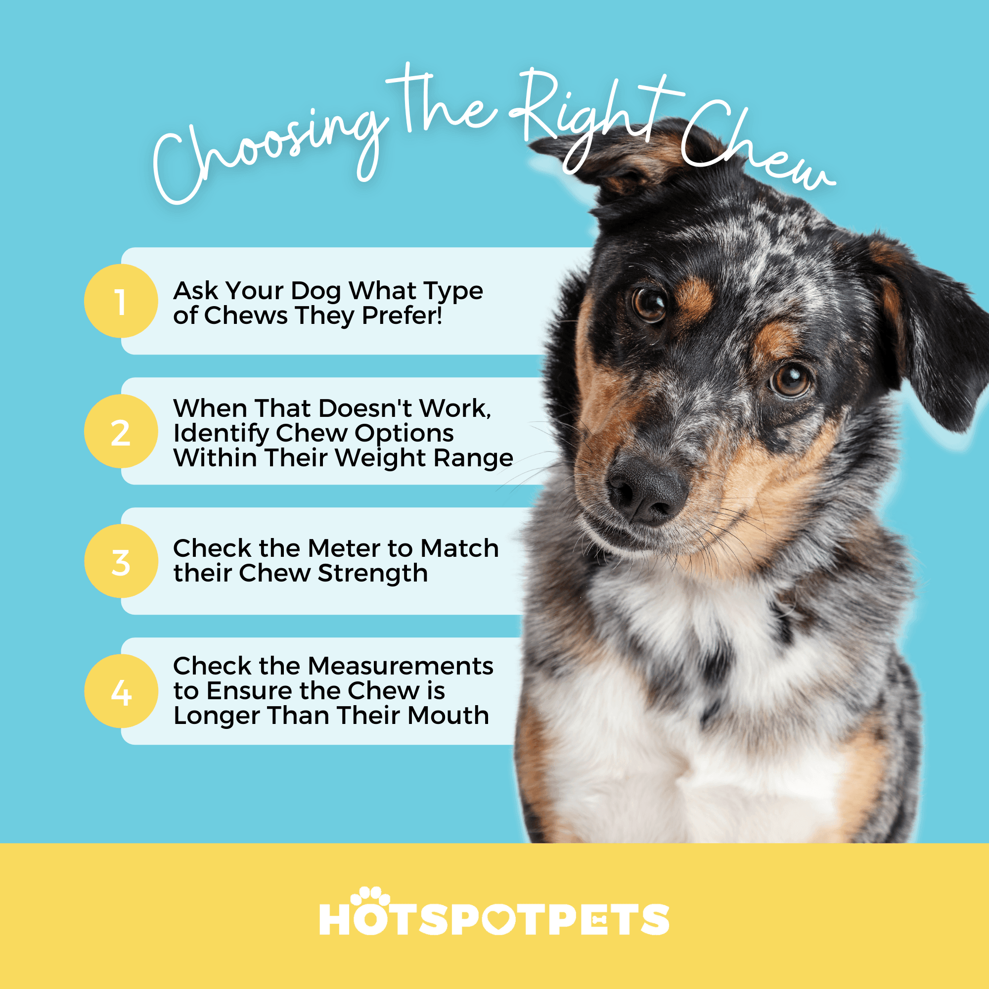 10" Beef Collagen Rolls for Large & Extra Large Dogs | Collagen Chews at HotSpot Pets