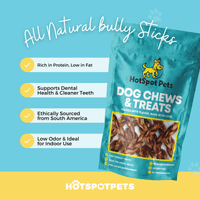 12" Braided Bully Sticks for Large & Extra Large Dogs | Bully Sticks at HotSpot Pets