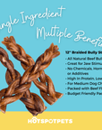 12" Braided Bully Sticks for Large & Extra Large Dogs | Bully Sticks at HotSpot Pets