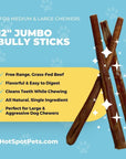 12" Jumbo Bully Sticks for Large & Extra Large Dogs | Bully Sticks at HotSpot Pets