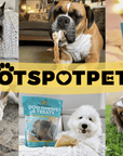 12" Jumbo Bully Sticks for Large & Extra Large Dogs | Bully Sticks at HotSpot Pets