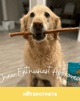 12" Standard Bully Sticks for Large & Extra Large Dogs | Bully Sticks at HotSpot Pets