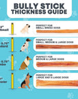 12" Thin Bully Sticks for Large & Extra Large Dogs | Bully Sticks at HotSpot Pets
