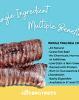 12" Whole Beef Trachea Tube Chews for Large & X-Large Dogs | Trachea Chews at HotSpot Pets