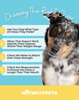 12" Whole Beef Trachea Tube Chews for Large & X-Large Dogs | Trachea Chews at HotSpot Pets