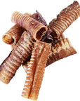 6" Whole Beef Trachea Chews for Small & Medium Dogs | Trachea Chews at HotSpot Pets