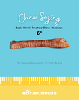 6" Whole Beef Trachea Chews for Small & Medium Dogs | Trachea Chews at HotSpot Pets