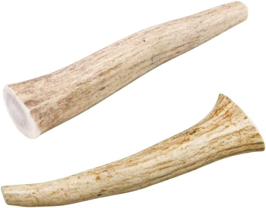 Medium Deer Antler Dog Bone