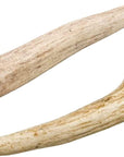 All-Natural Deer Antlers for Dogs | Elk Antlers at HotSpot Pets