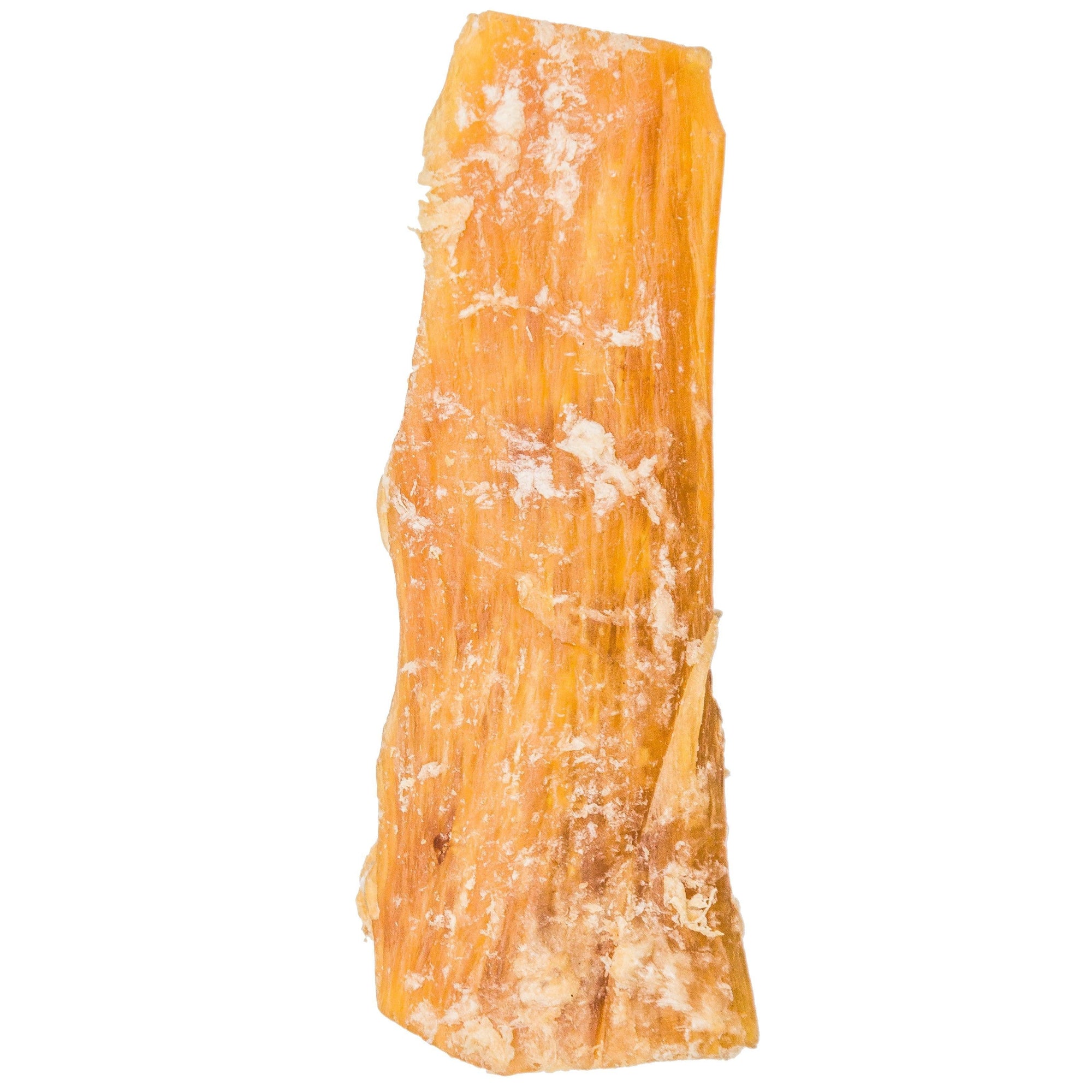 Beef Backstrap Tendon Chews | Tendon Chews at HotSpot Pets