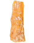 Beef Backstrap Tendon Chews | Tendon Chews at HotSpot Pets