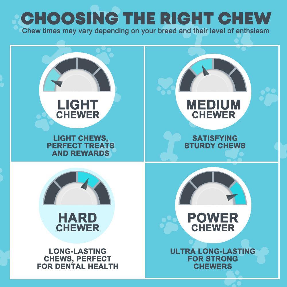 Beef Backstrap Tendon Chews | Tendon Chews at HotSpot Pets