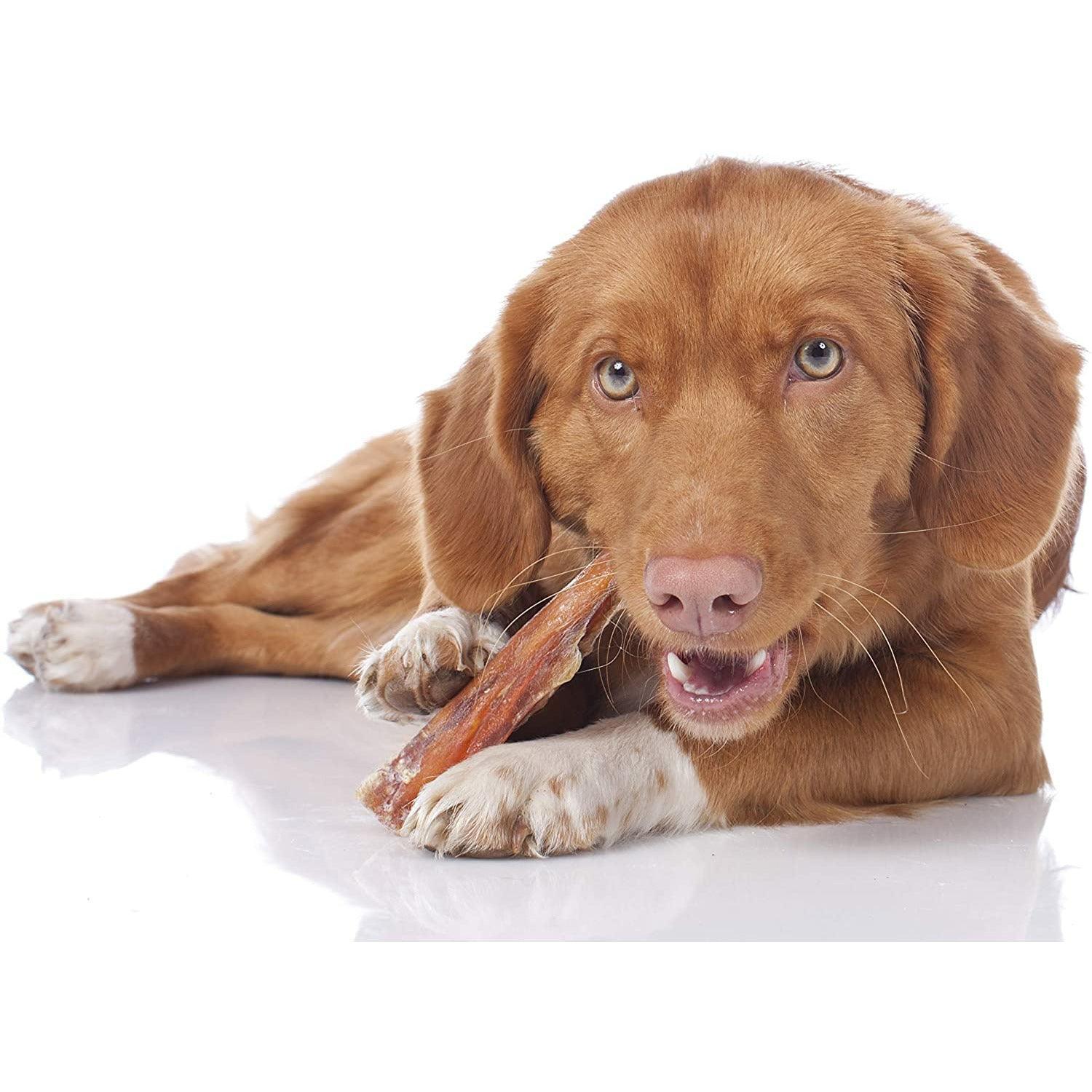 Beef Backstrap Tendon Chews | Tendon Chews at HotSpot Pets