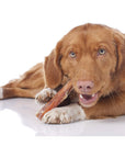 Beef Backstrap Tendon Chews | Tendon Chews at HotSpot Pets