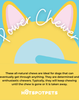 Himalayan Yak Chews for Medium Dogs | Yak Chews at HotSpot Pets