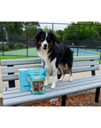 Hotspot Pets Subscription Box for Large & Extra Large Dogs | Subscription Boxes at HotSpot Pets