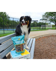 Hotspot Pets Subscription Box for Large & Extra Large Dogs | Subscription Boxes at HotSpot Pets