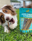 Hotspot Pets Subscription Box for Large & Extra Large Dogs | Subscription Boxes at HotSpot Pets