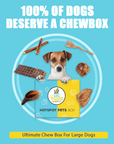 Ultimate Chew Box For All Sized Dogs | Ultimate Chew Box at HotSpot Pets